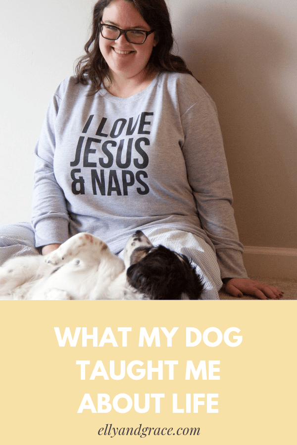 life lessons from my dog