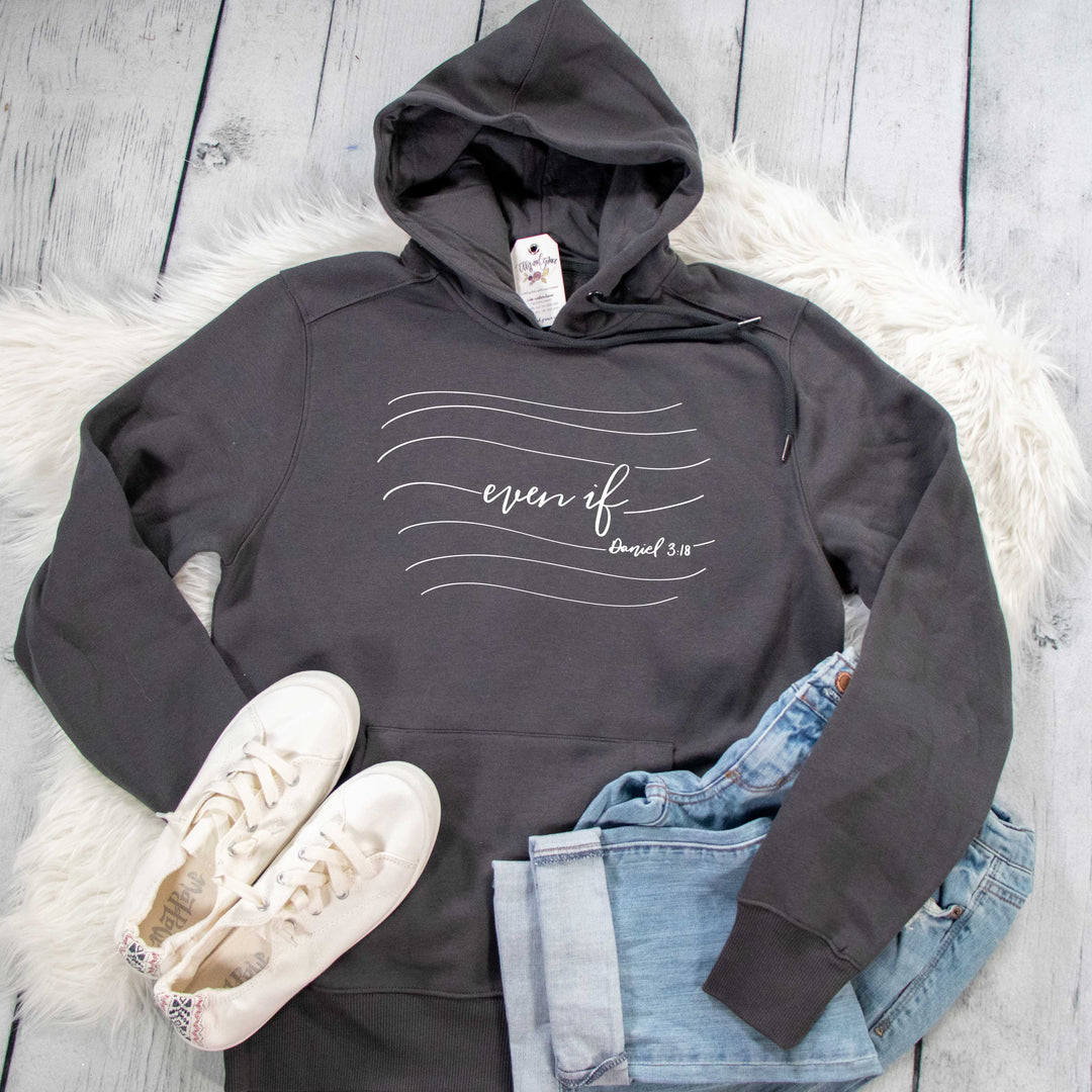 ellyandgrace DT1101 Unisex Small / Charcoal Even If Classic Hoodie