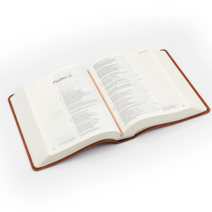 Hosanna Revival EG-BIBLES CSB NOTETAKING BIBLE : VIENNA THEME