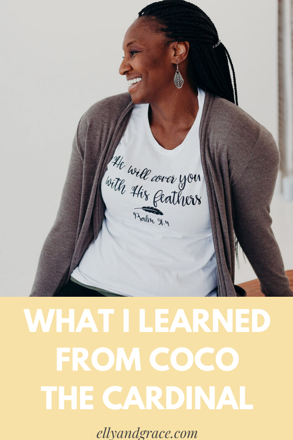 What I learned from Coco the Cardinal