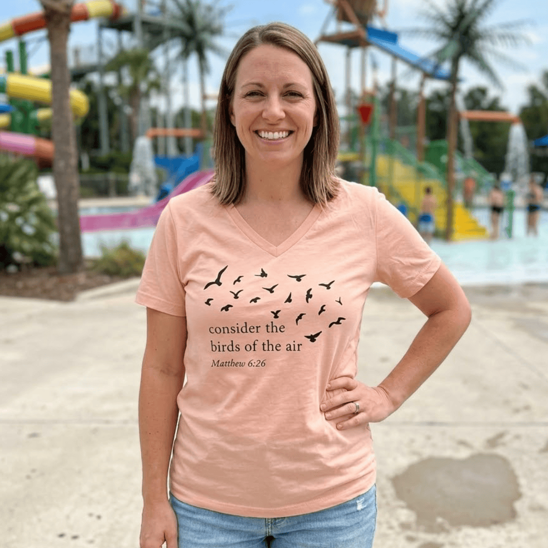 ellyandgrace 6405 Consider The Birds Of The Air Relaxed Ladies V-Neck