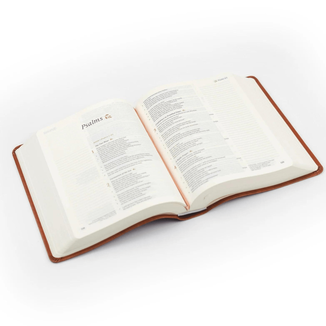 Hosanna Revival EG-BIBLES CSB NOTETAKING BIBLE : VIENNA THEME