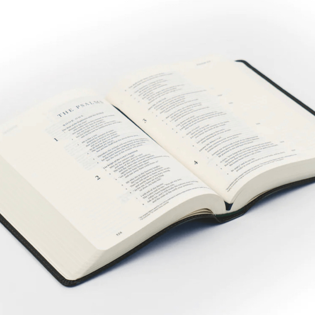 Hosanna Revival EG-BIBLES ESV JOURNALING BIBLE: HYDE PARK THEME